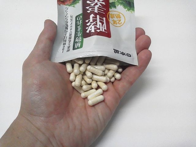植物生まれの酵素読本
